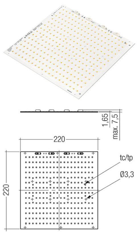 Beltrade: Tridonic Module QLE G1 220mm ADV IND